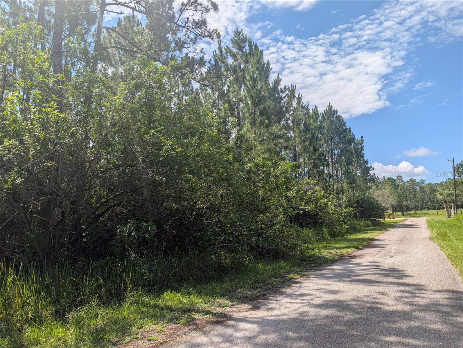 30 Amaryllis Dr Property Photo 15