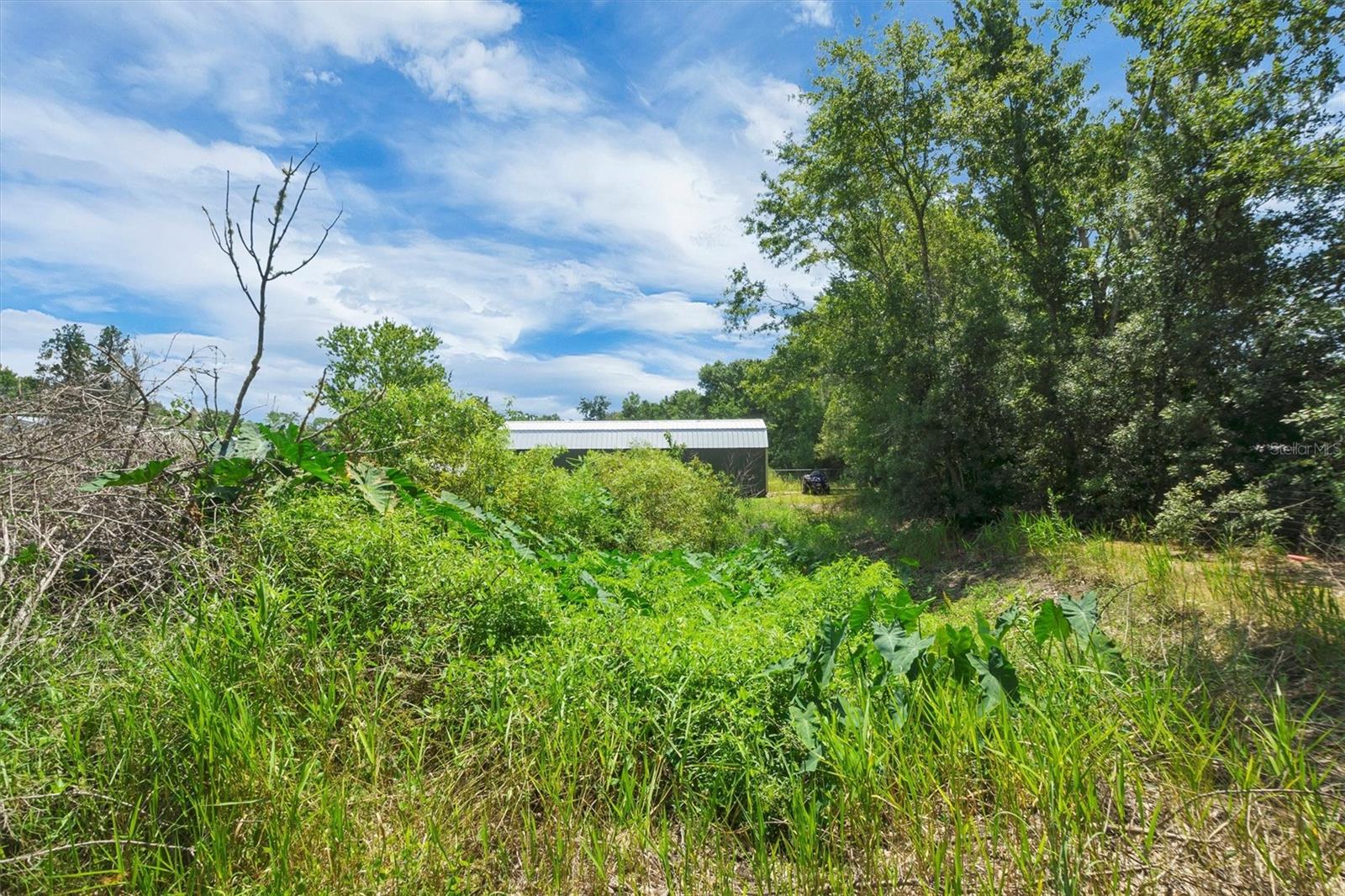 4237 Coyote Trl Property Photo 44