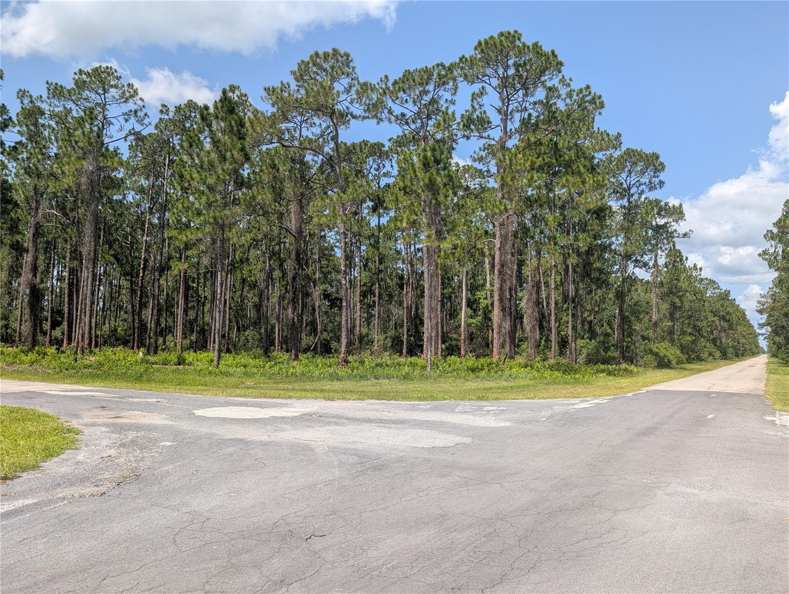 201 Allamanda Dr Property Photo 1