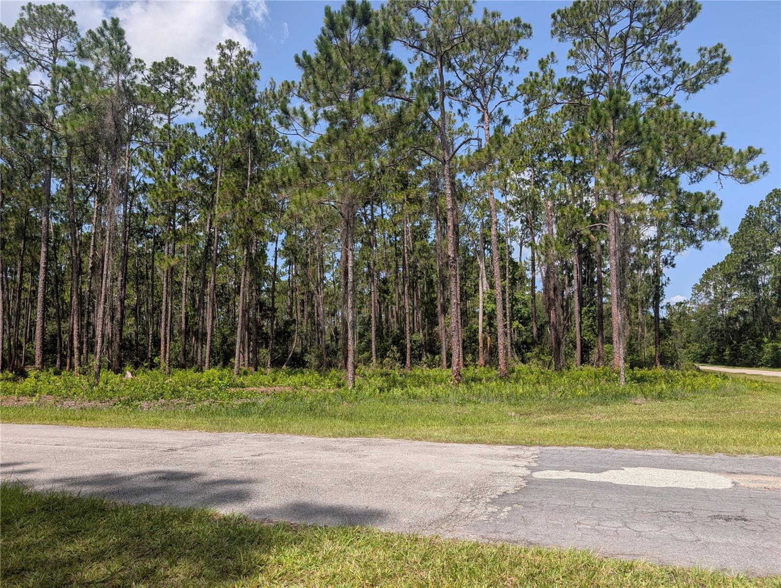201 Allamanda Dr Property Photo 2