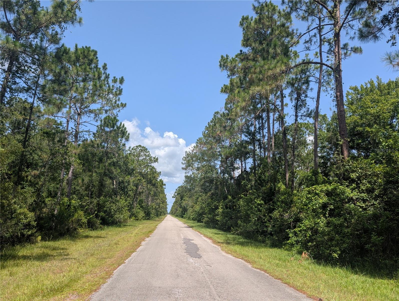 201 Allamanda Dr Property Photo 3