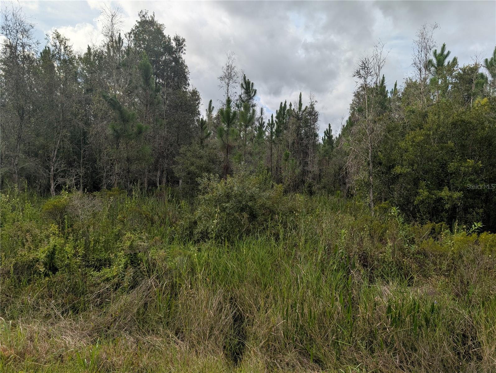 Meadowlark Blvd Property Photo 1