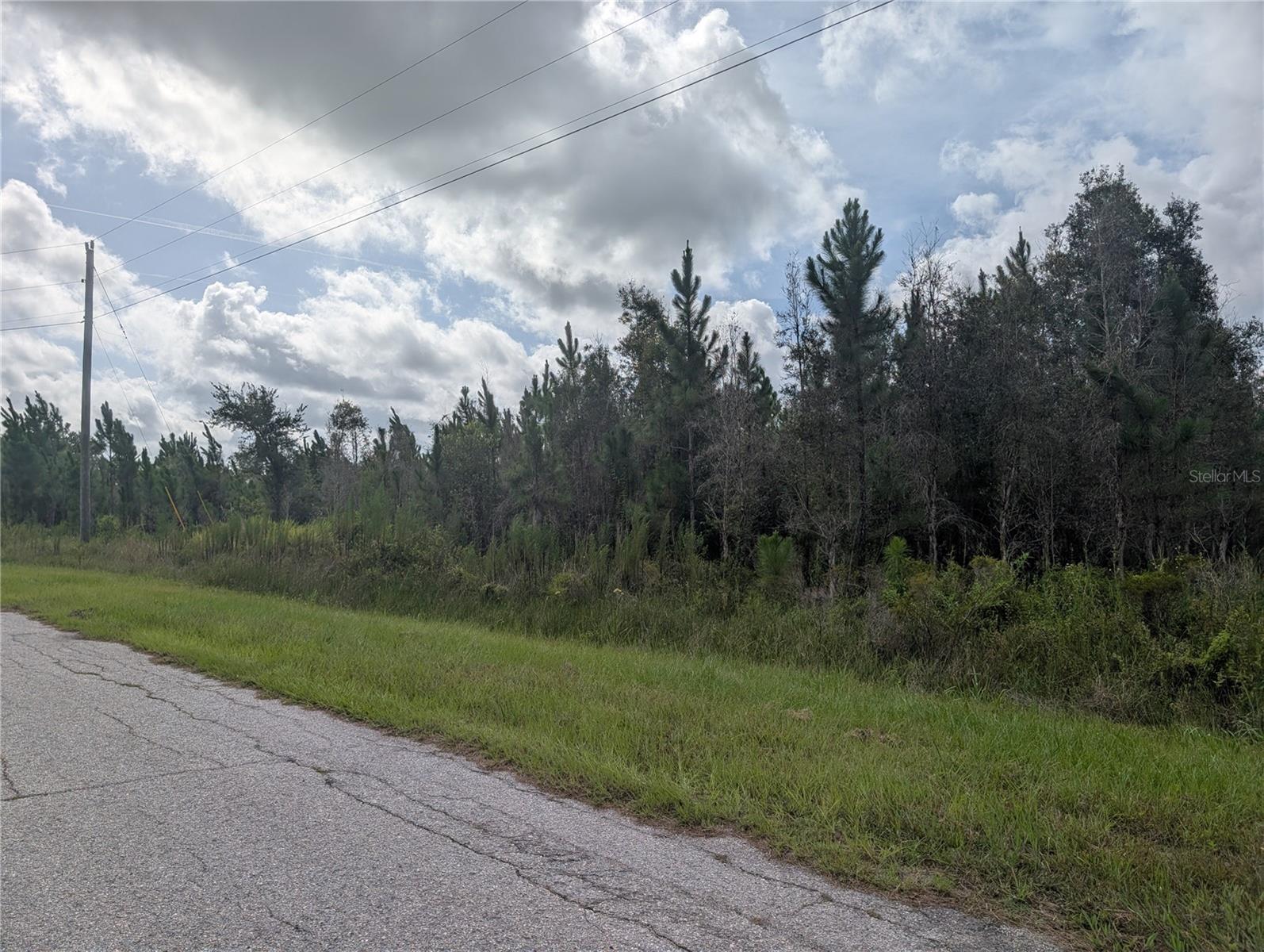 Meadow Lark Blvd Property Photo 2