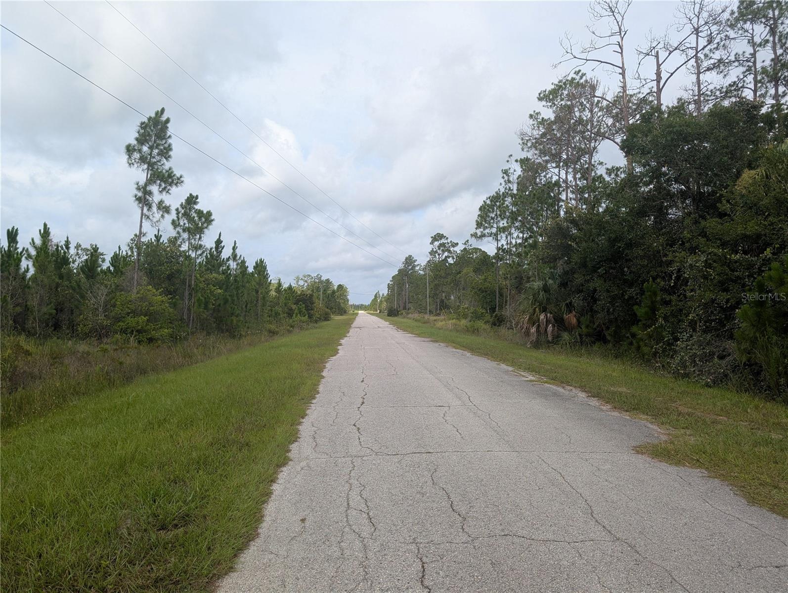 Meadow Lark Blvd Property Photo 4