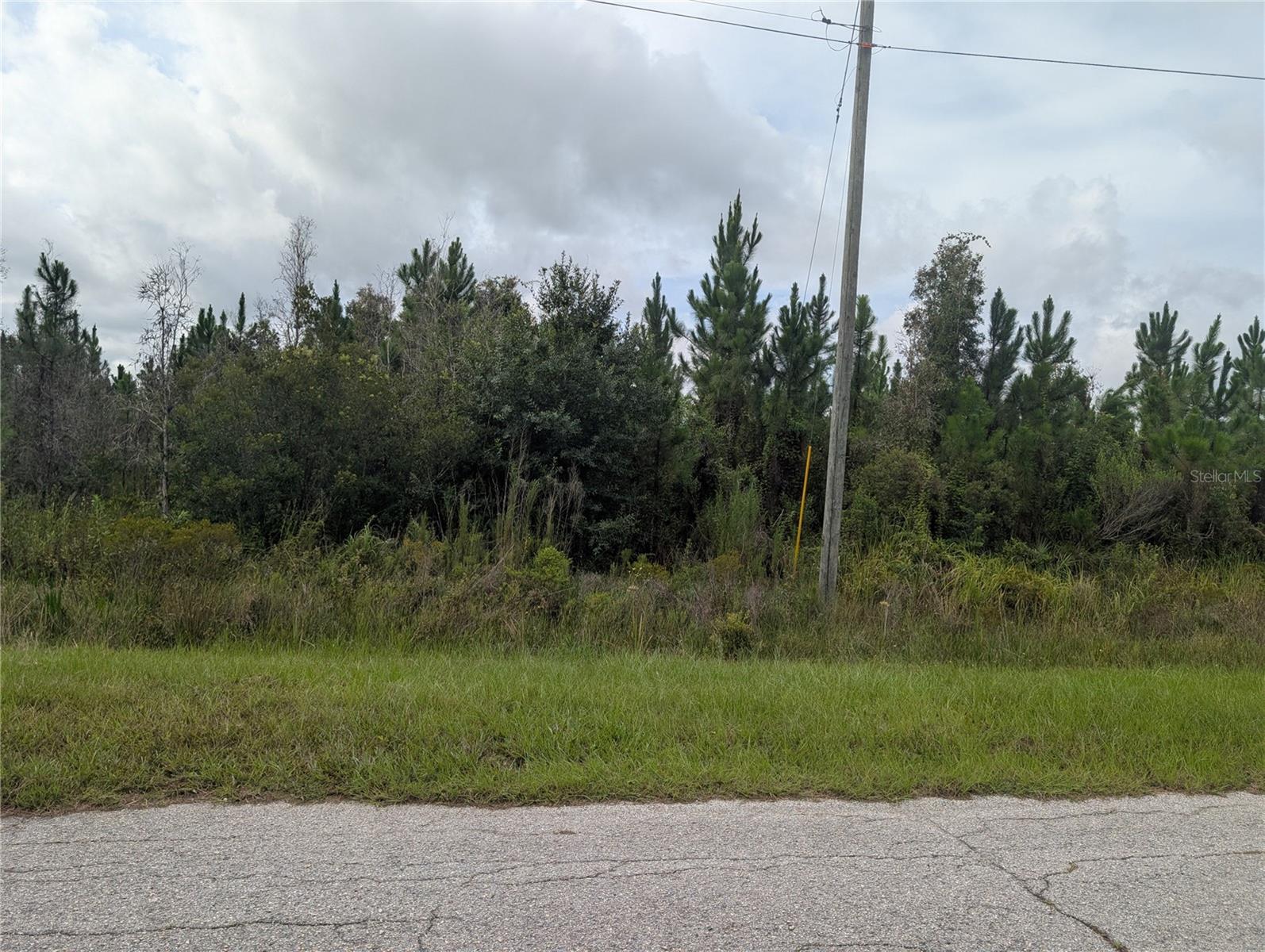 Meadow Lark Blvd Property Photo 6
