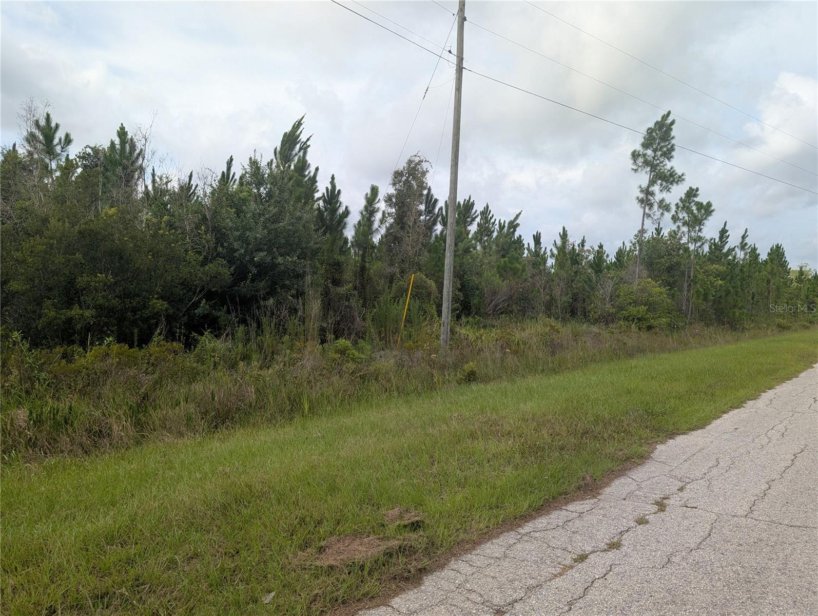 Meadow Lark Blvd Property Photo 9