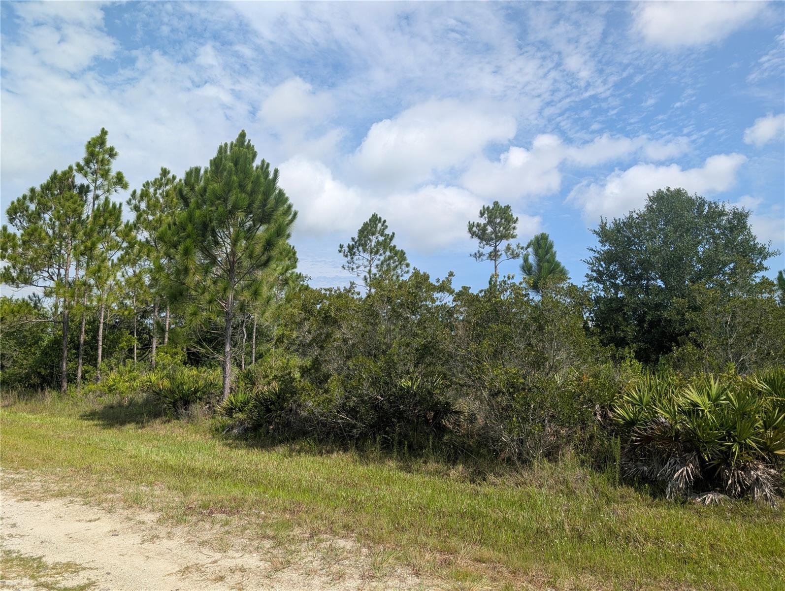 P4939338 Property Photo 5