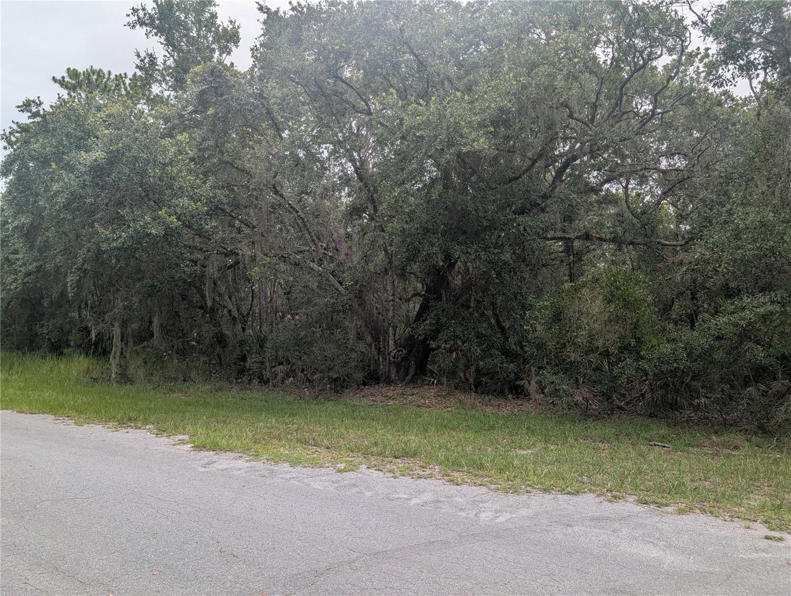 Gardenia Dr Property Photo 5