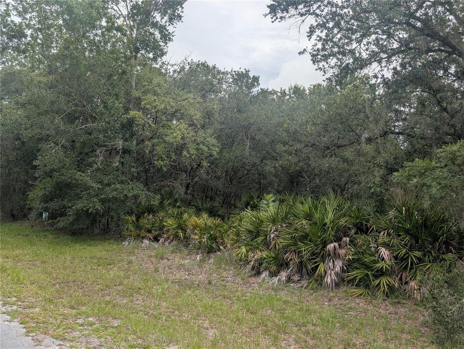 Gardenia Dr Property Photo 6