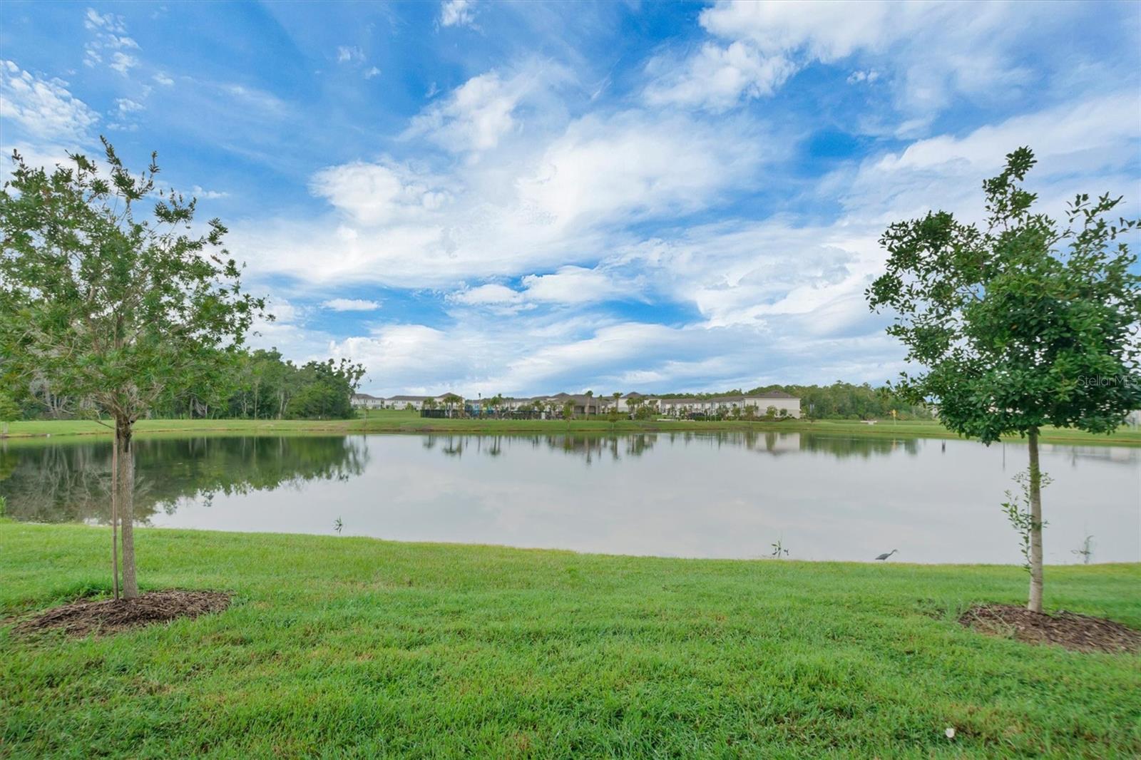 2256 Portrait Street Property Photo 5