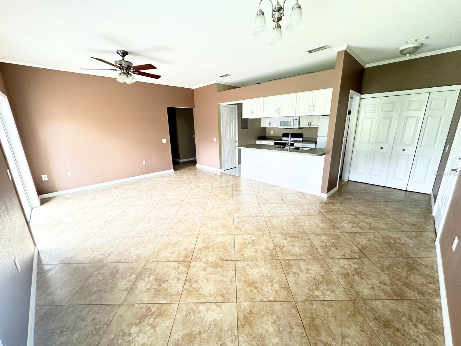 1003 Eagle Pond Dr #1003 Property Photo 3