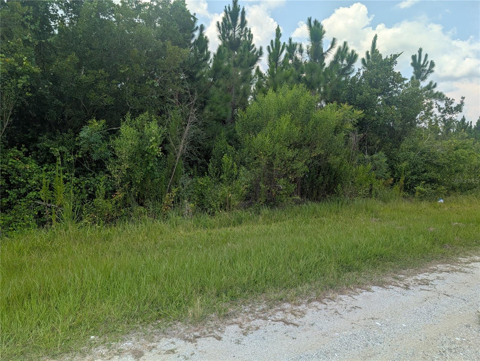 103 Tropicana Dr Property Photo 1