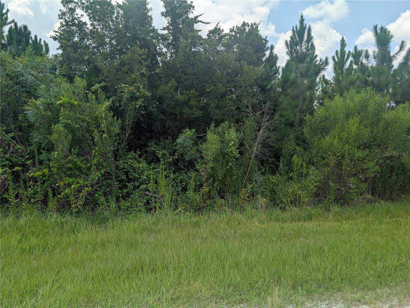 103 Tropicana Dr Property Photo 2