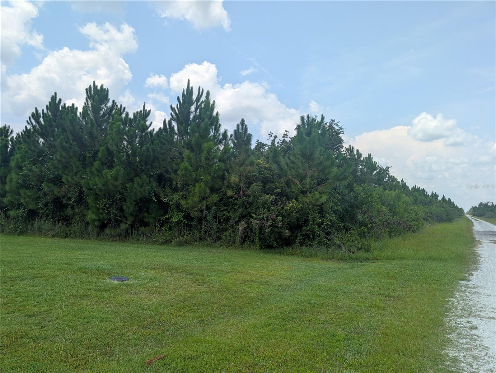 103 Tropicana Dr Property Photo 6