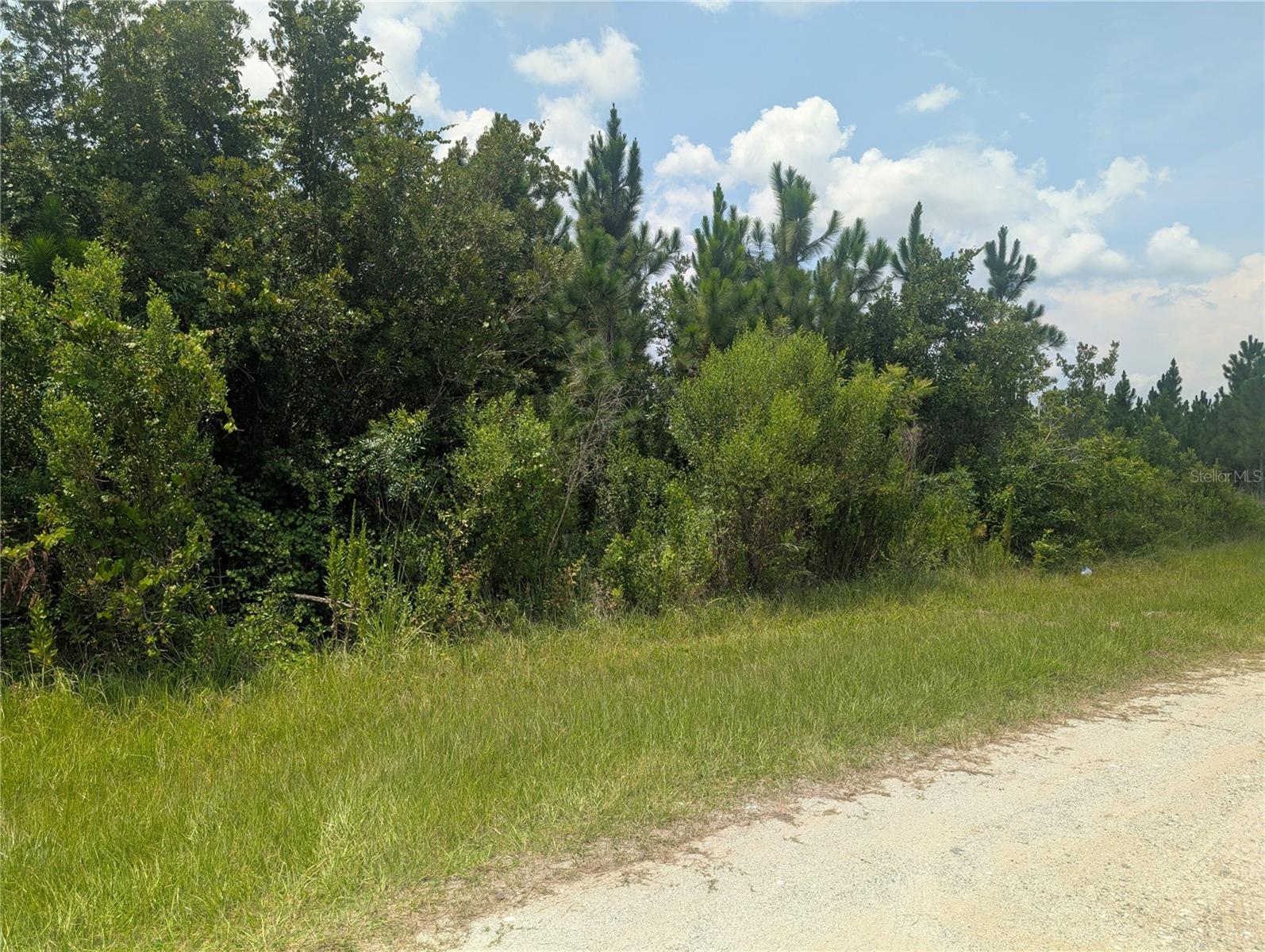 103 Tropicana Dr Property Photo 7