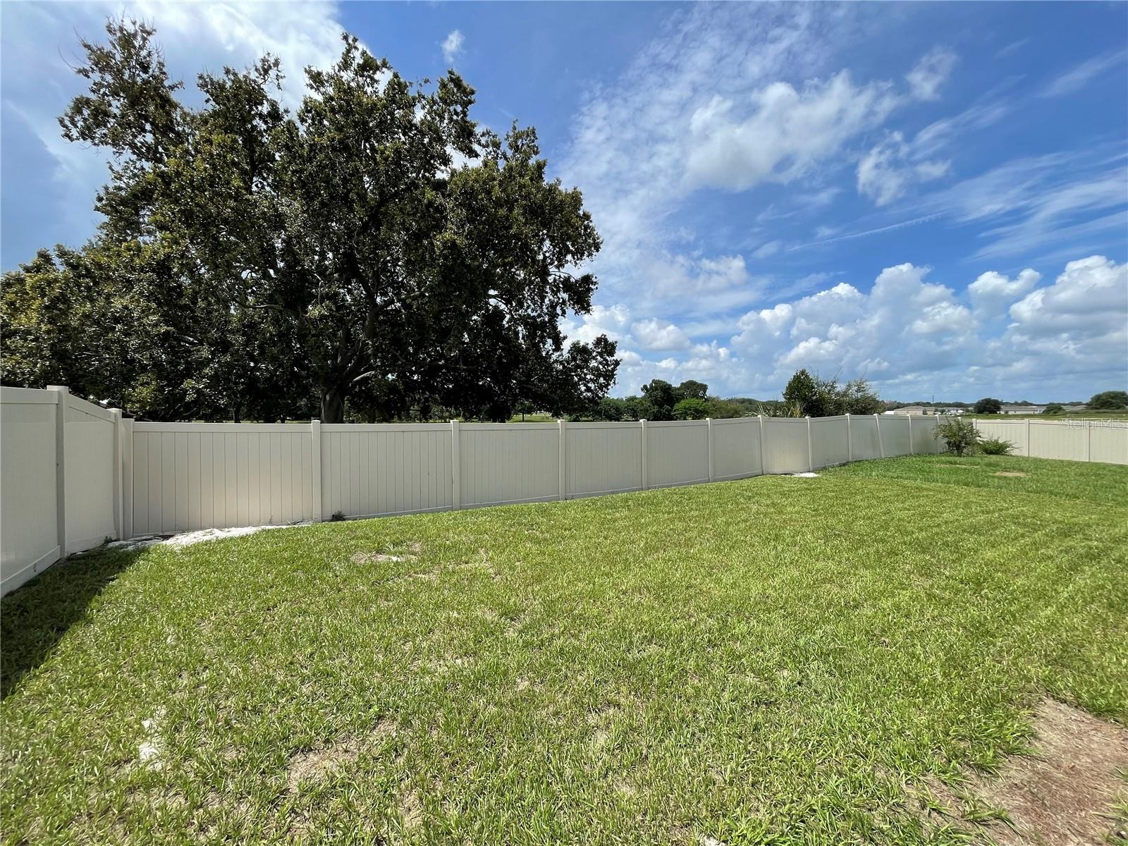 689 Crown Rose Dr Property Photo 47