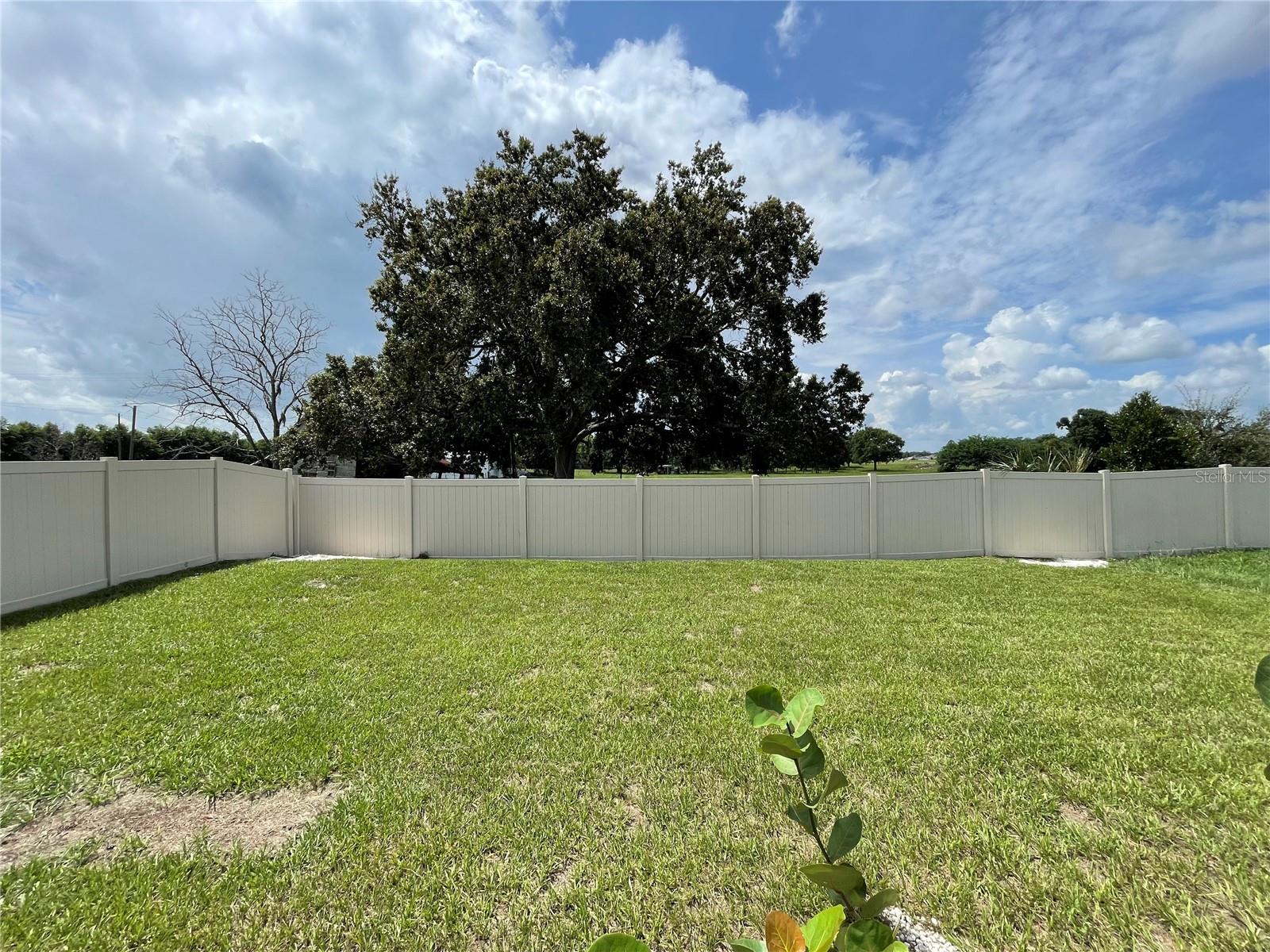 689 Crown Rose Dr Property Photo 48