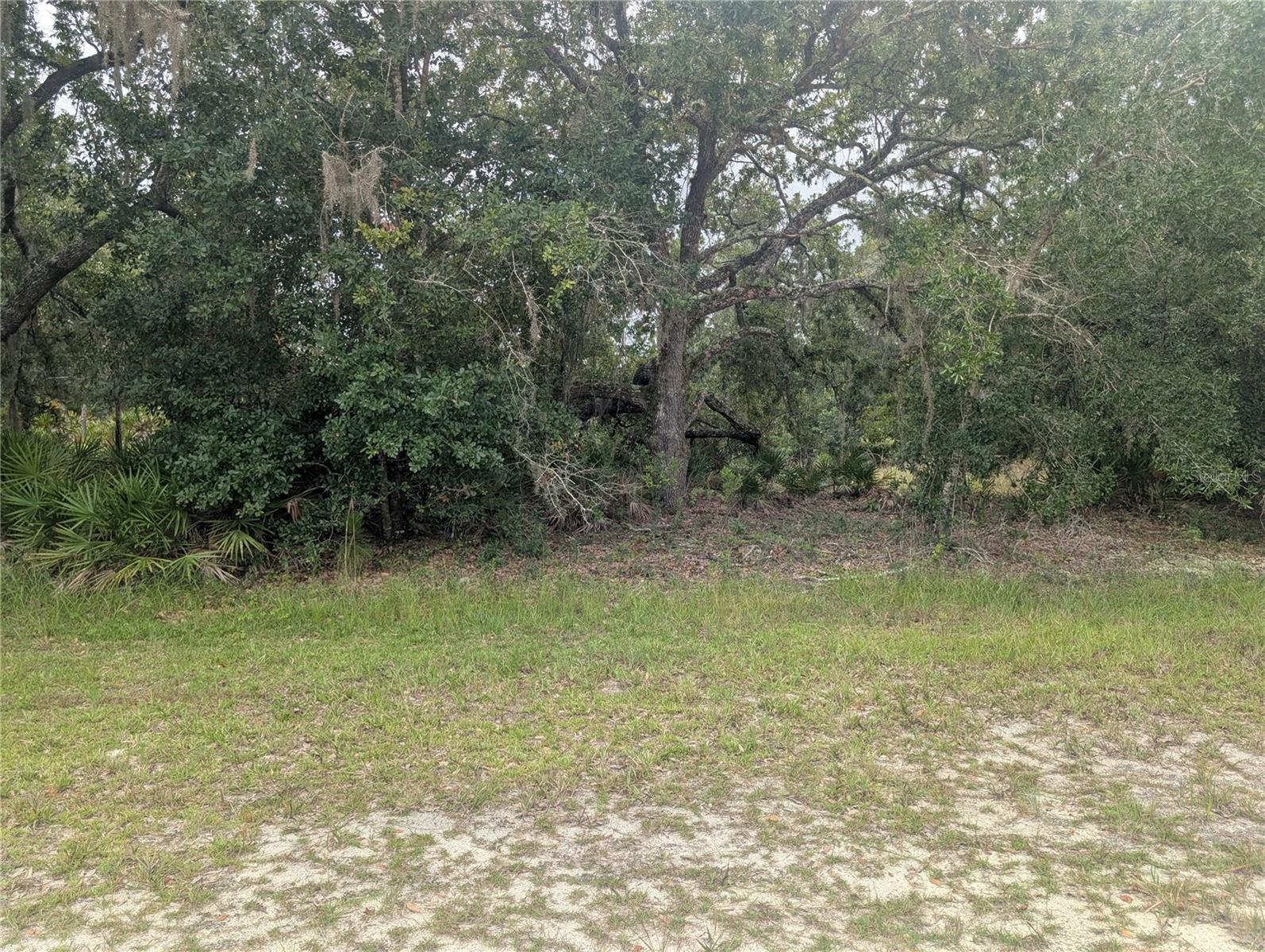 Gaillardia Dr Property Photo 1