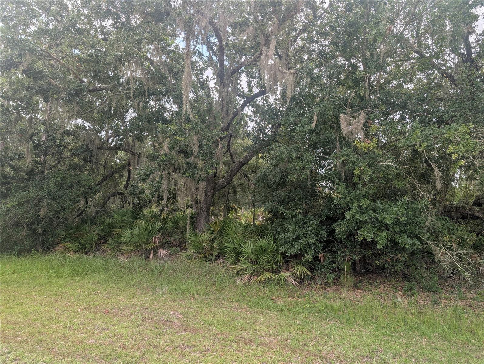 Gaillardia Dr Property Photo 2