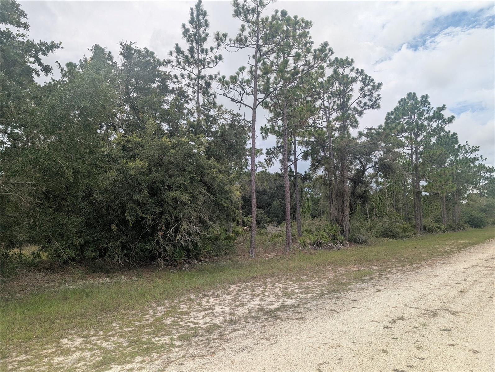 Gaillardia Dr Property Photo 3