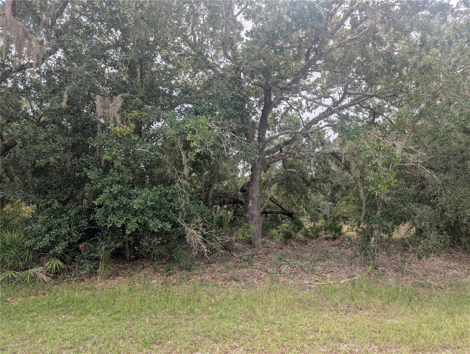 Gaillardia Dr Property Photo 4