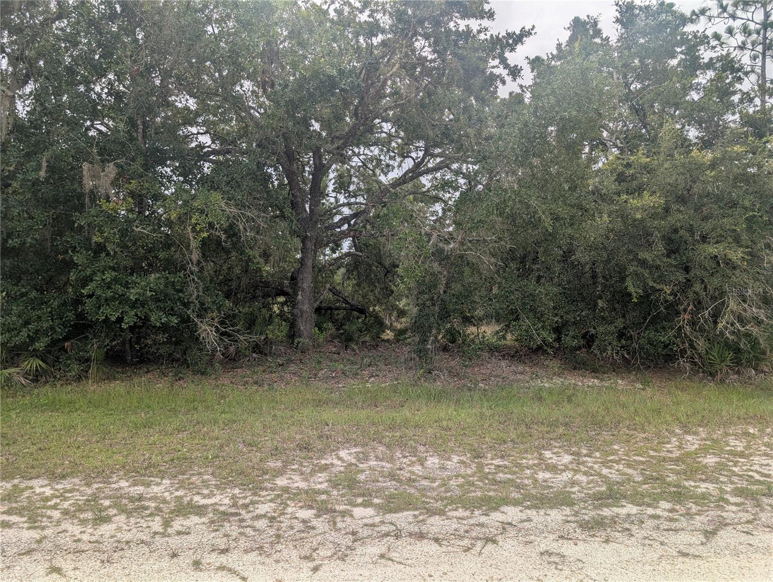 Gaillardia Dr Property Photo 6