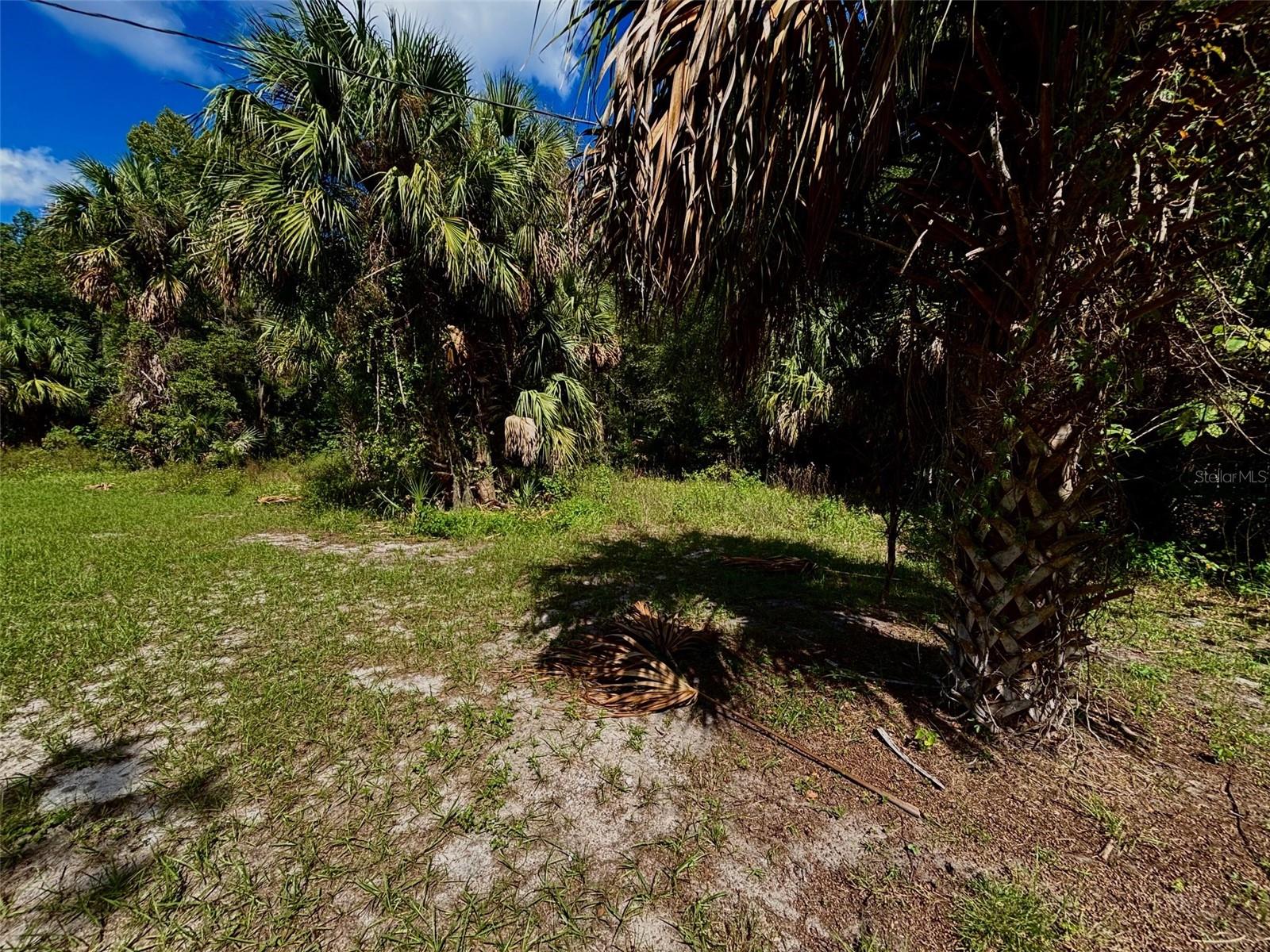404 Grove St Property Photo 5