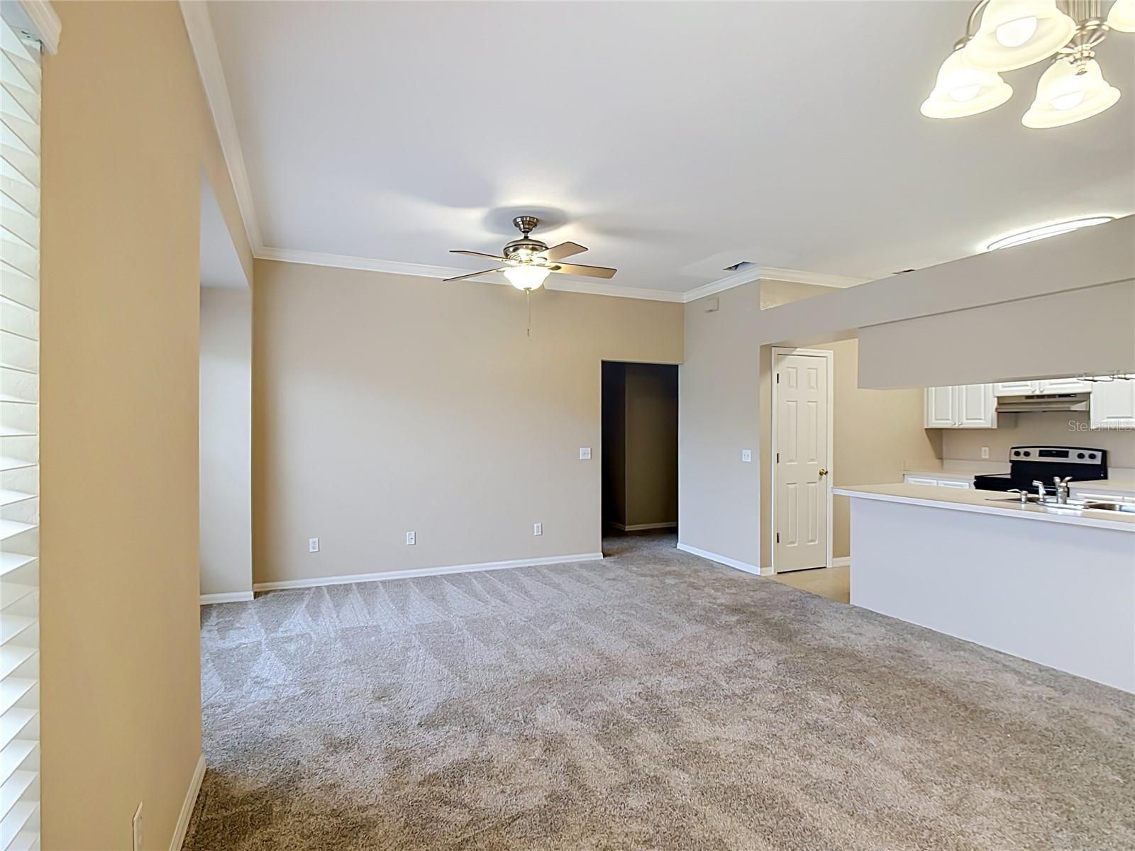 1105 Eagle Pond Dr #1105 Property Photo 6