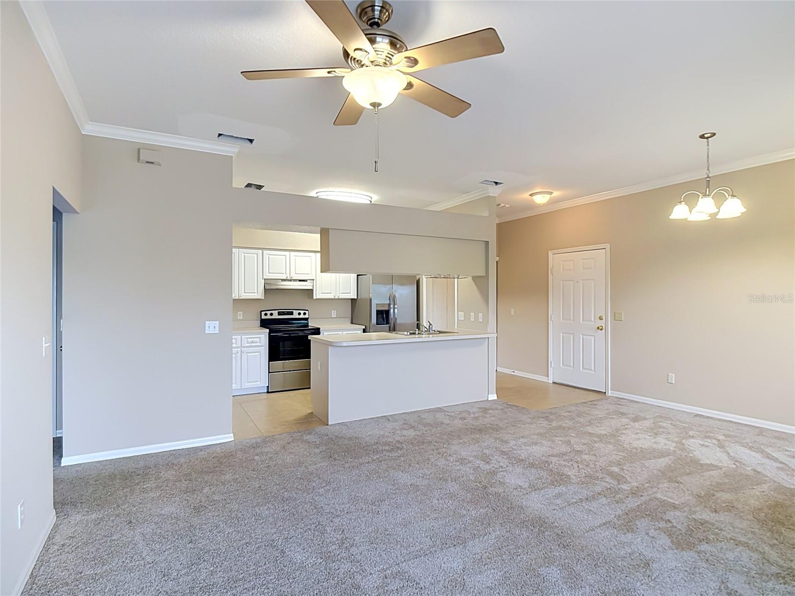 1105 Eagle Pond Dr #1105 Property Photo 7