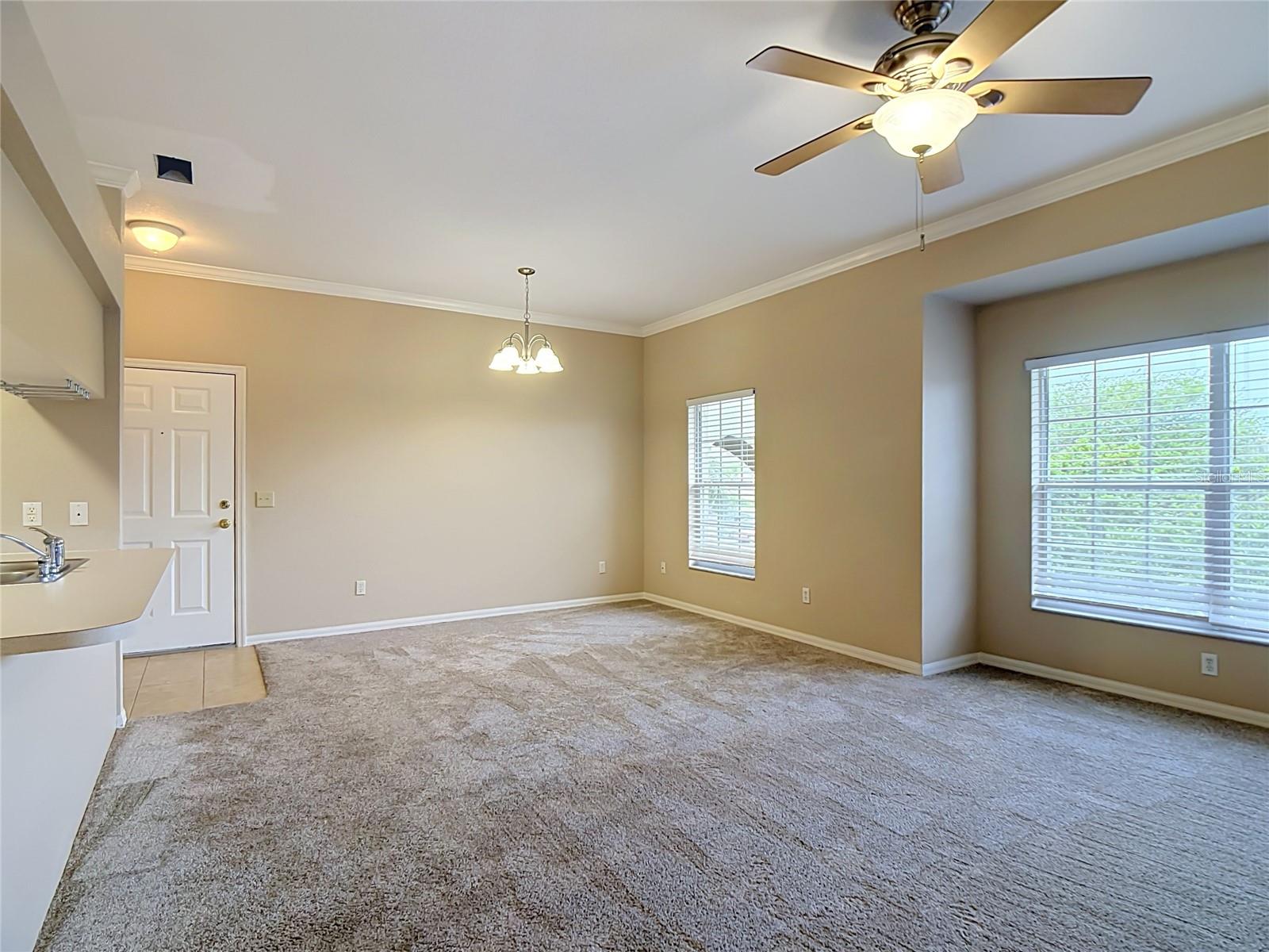 1105 Eagle Pond Dr #1105 Property Photo 8