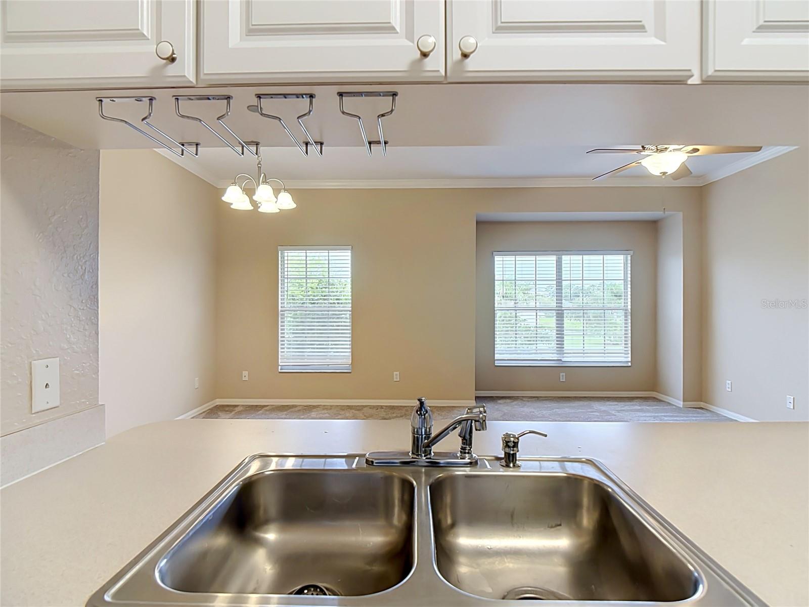 1105 Eagle Pond Dr #1105 Property Photo 10