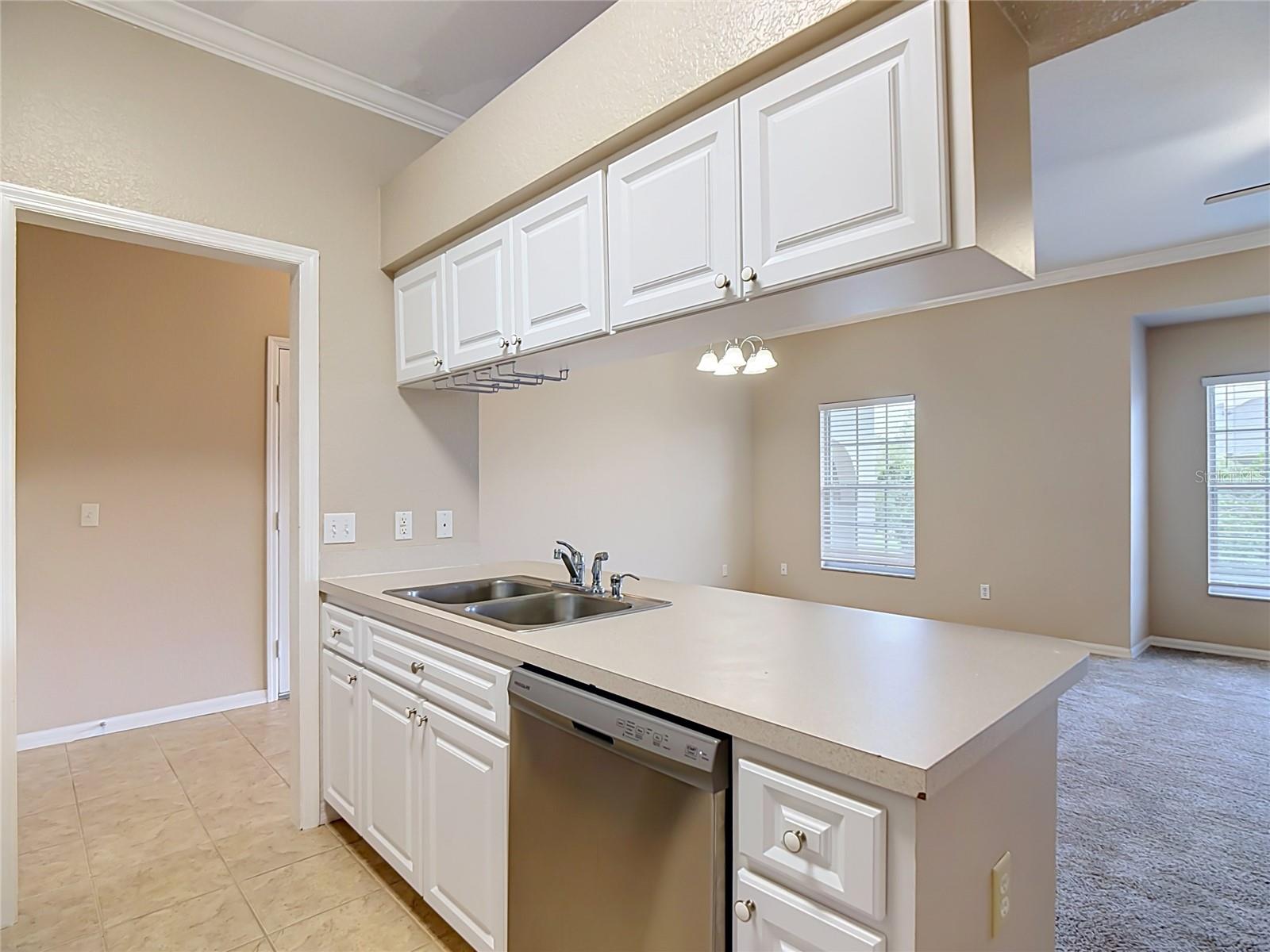 1105 Eagle Pond Dr #1105 Property Photo 11