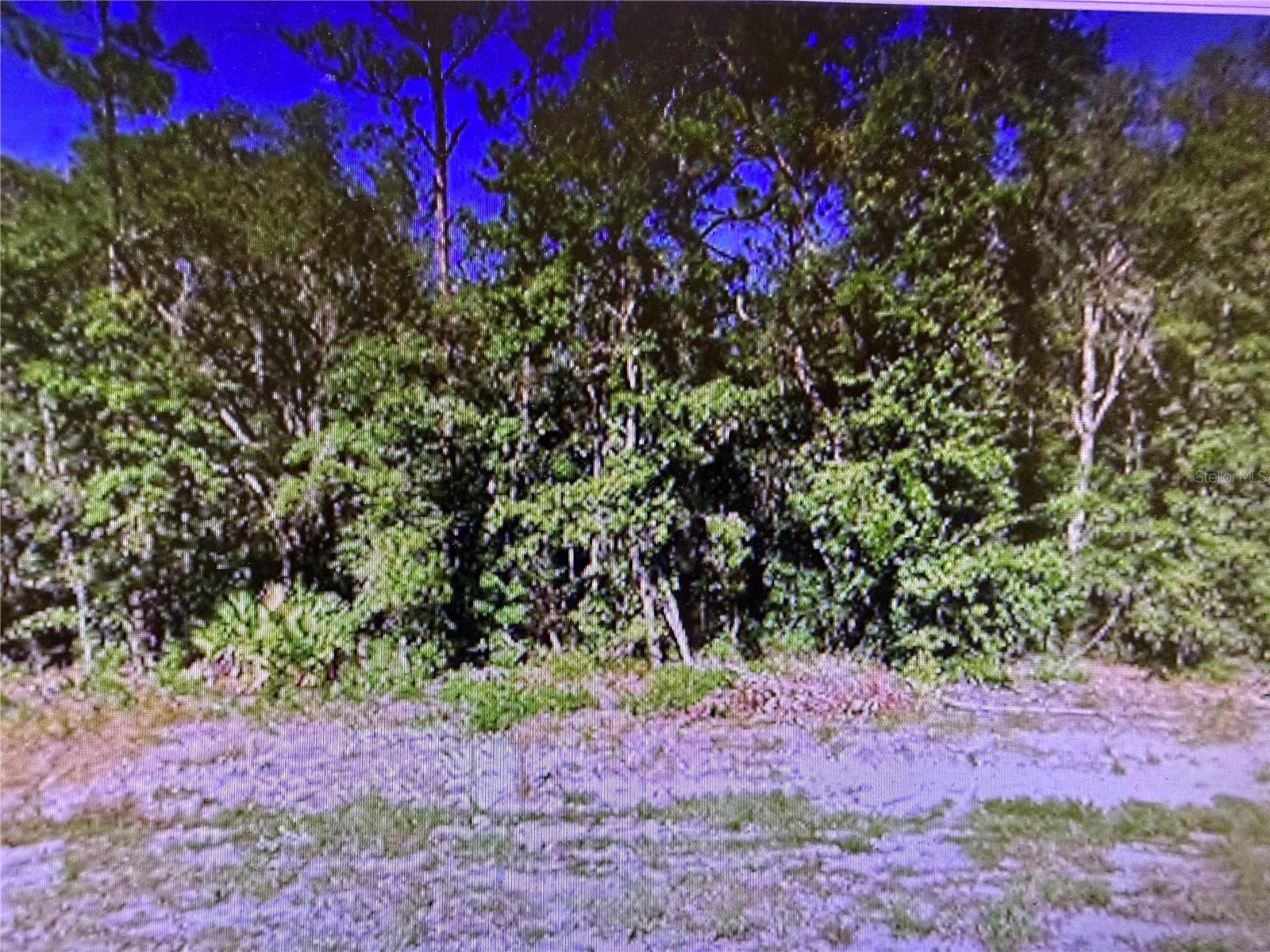 0 CHIPO ST Property Photo 1