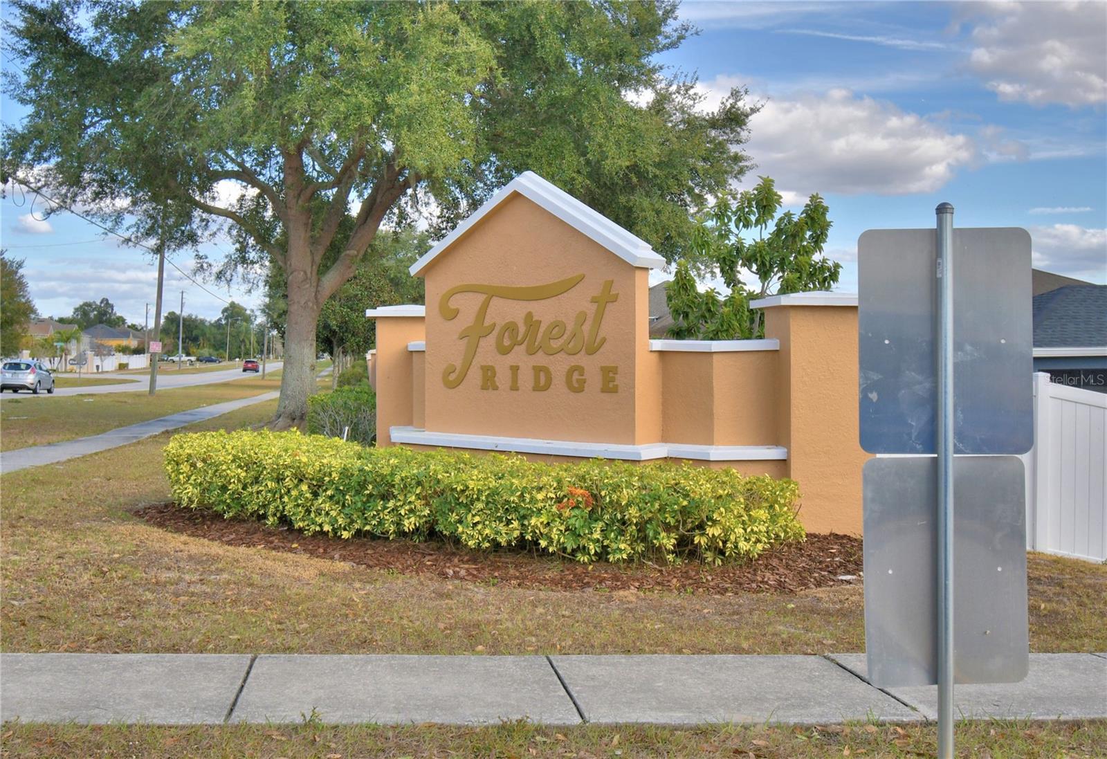 5621 Forest Ridge Dr Property Photo 3