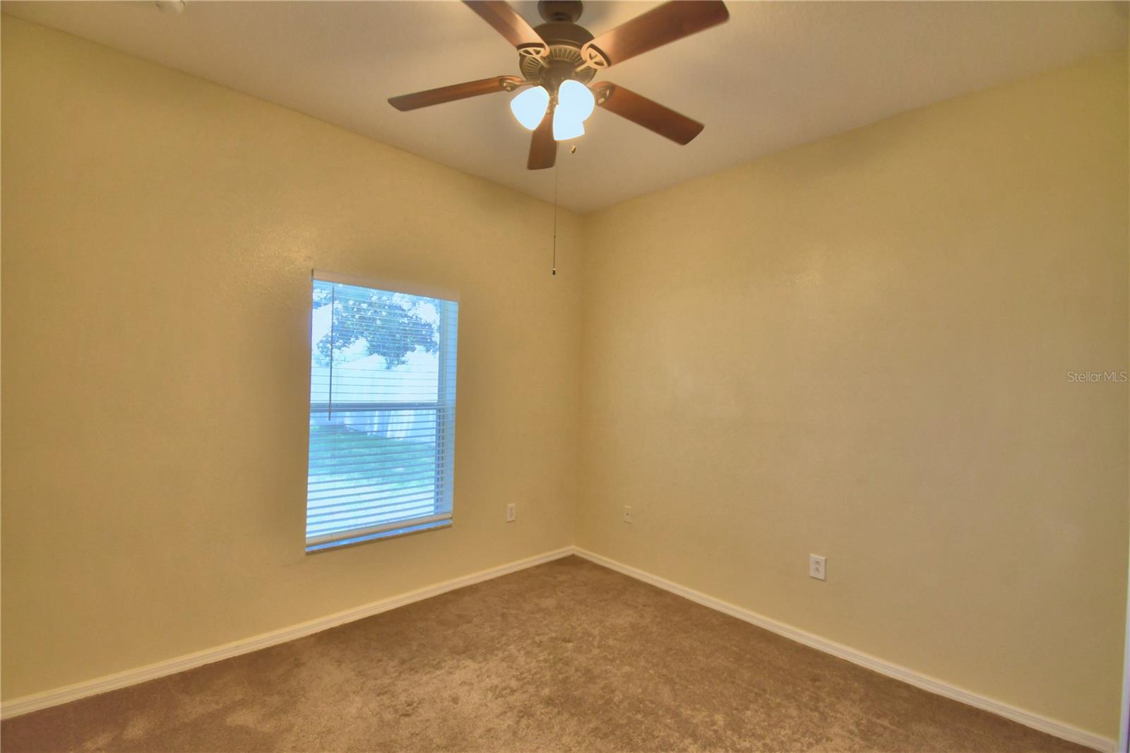 5621 Forest Ridge Dr Property Photo 36