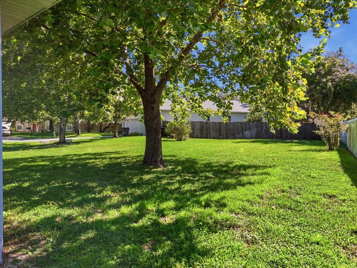 1505 Lake Thomas Loop Property Photo 44