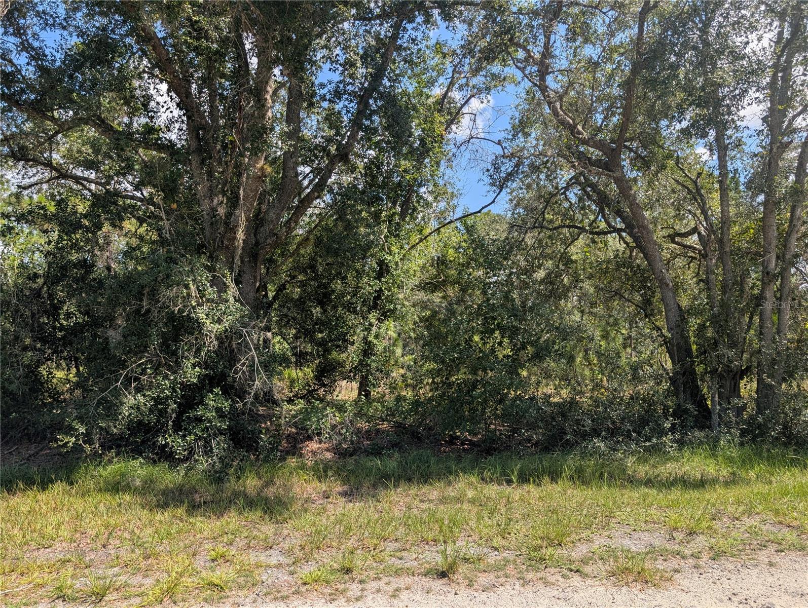 824 Gardenia Dr Property Photo 2