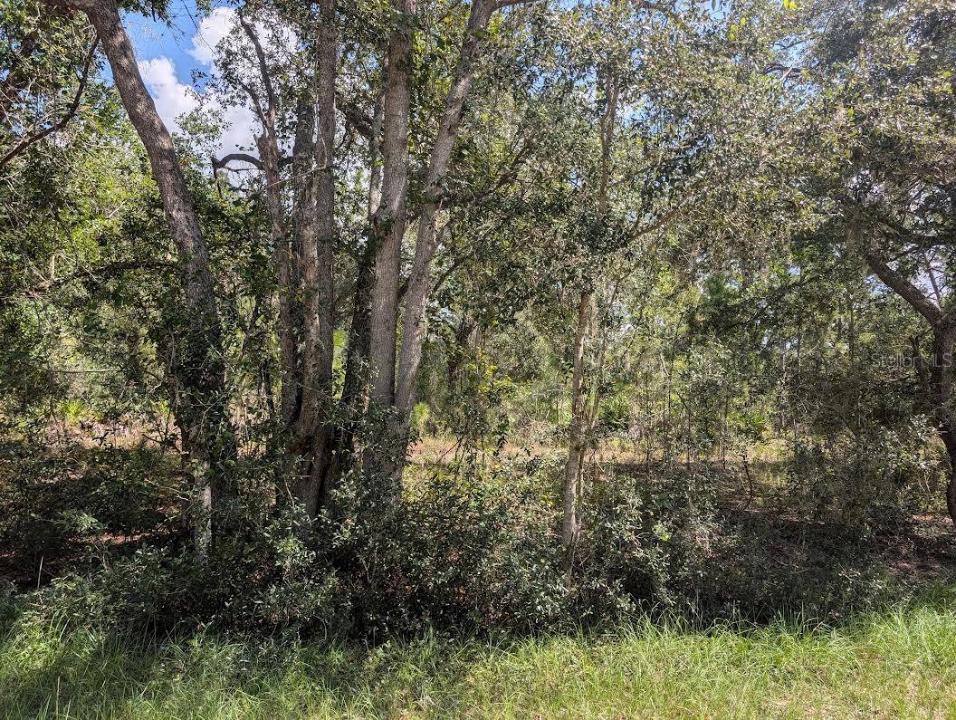 824 Gardenia Dr Property Photo 4