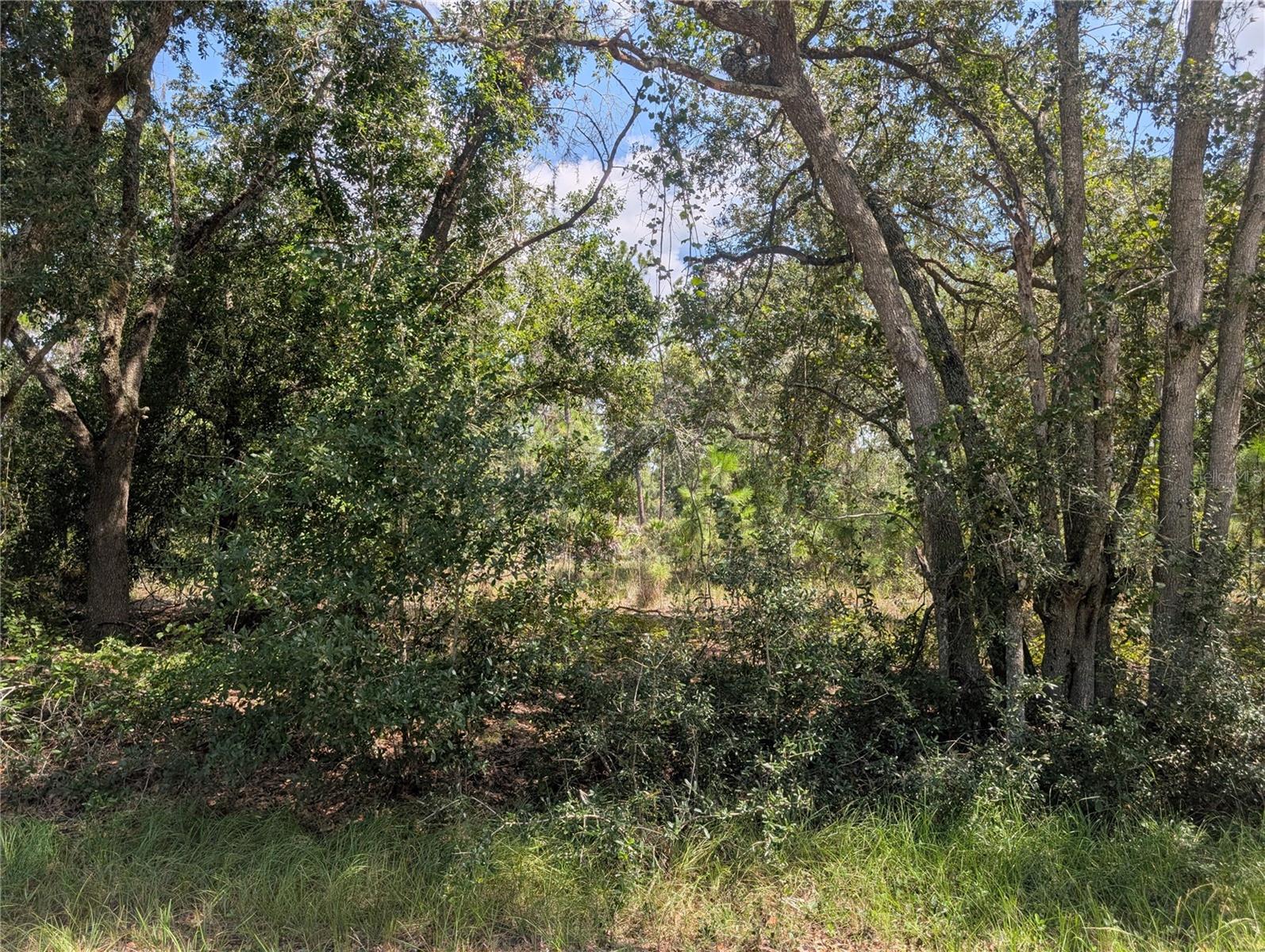 824 Gardenia Dr Property Photo 6