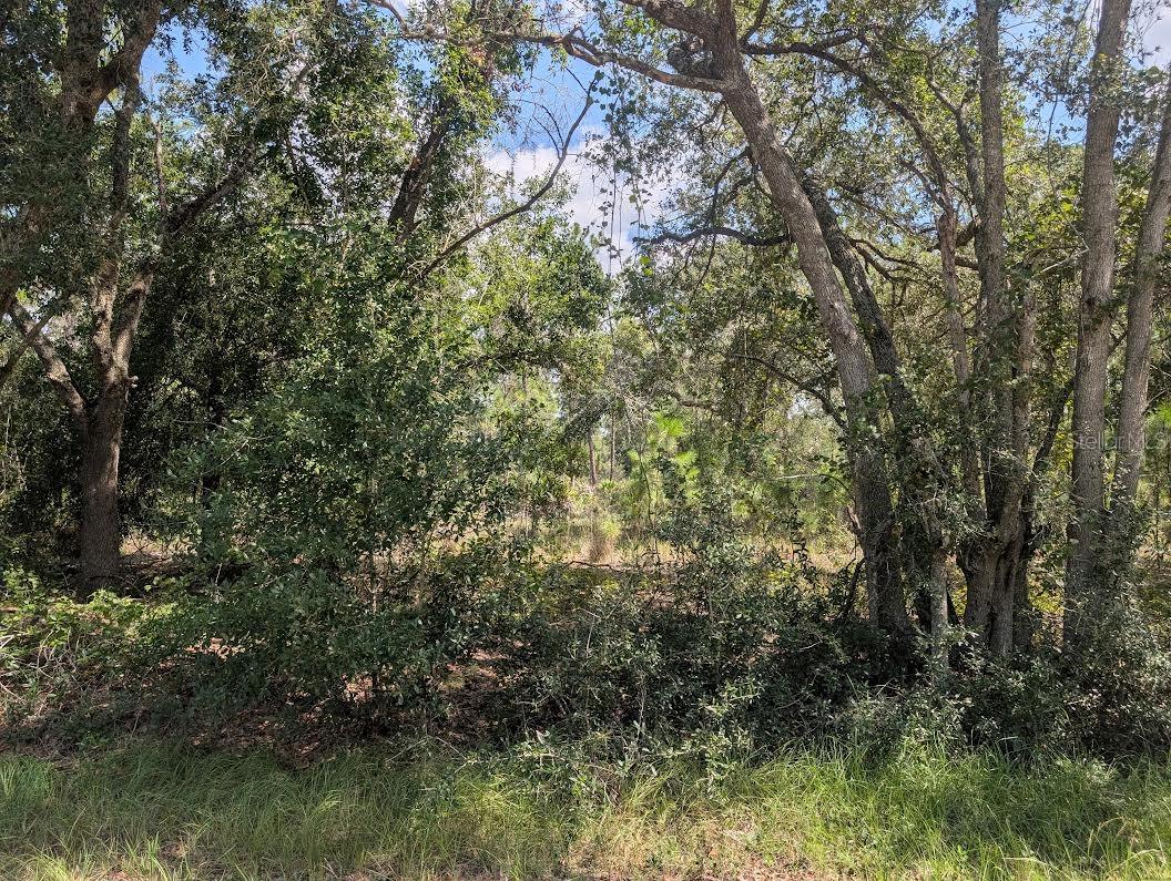 824 Gardenia Dr Property Photo 9