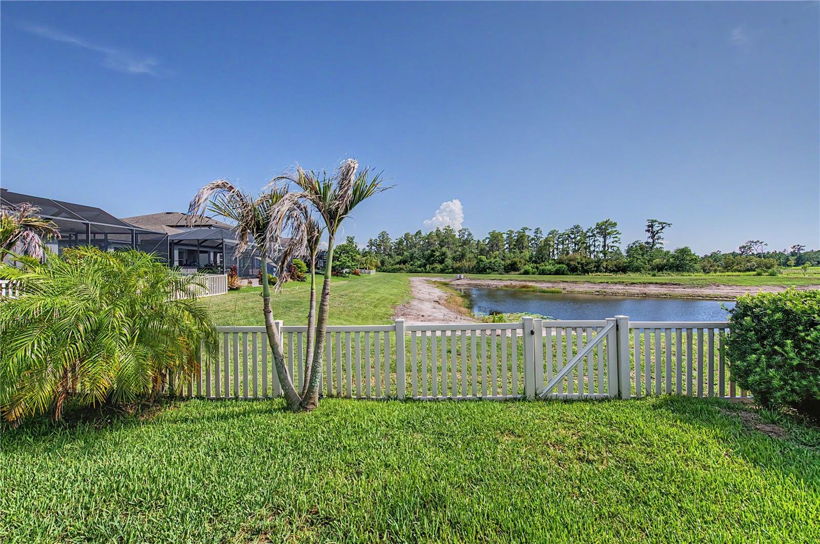 19308 Breynia Dr Property Photo 54