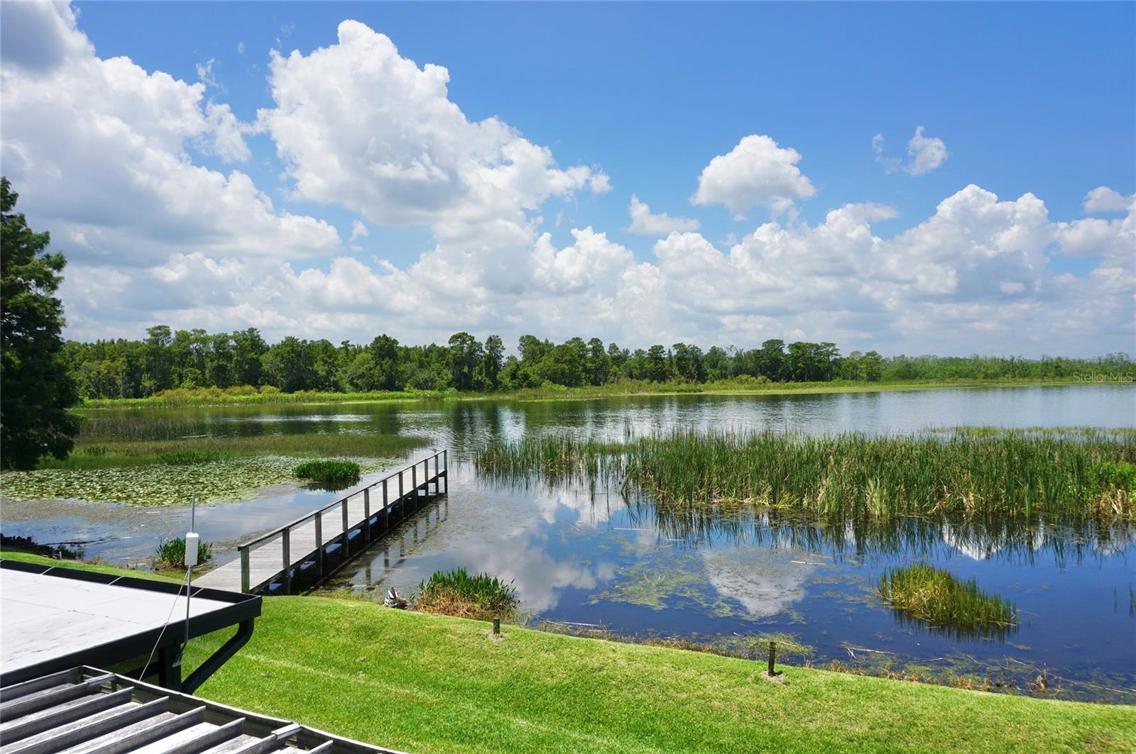 504 Orange Blossom Dr Property Photo 36