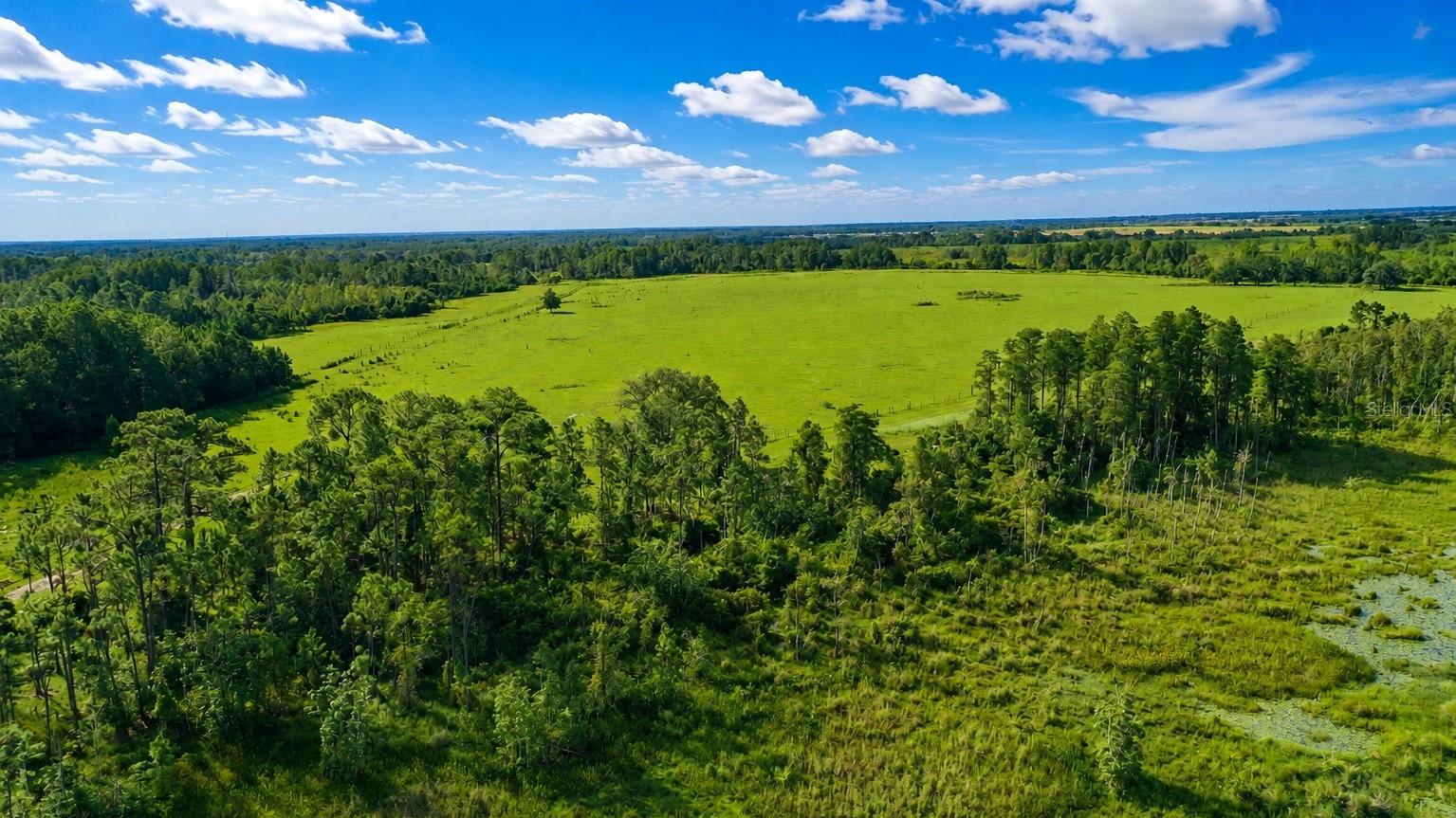 Old Polk City Rd Property Photo