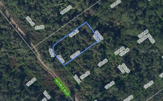 457 Nichele Blvd Property Photo 1