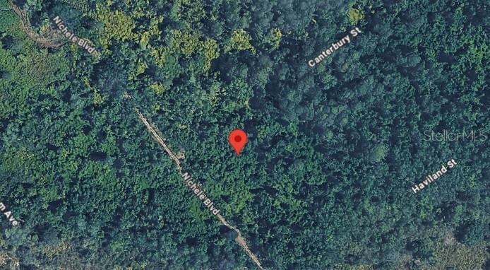 457 Nichele Blvd Property Photo 3