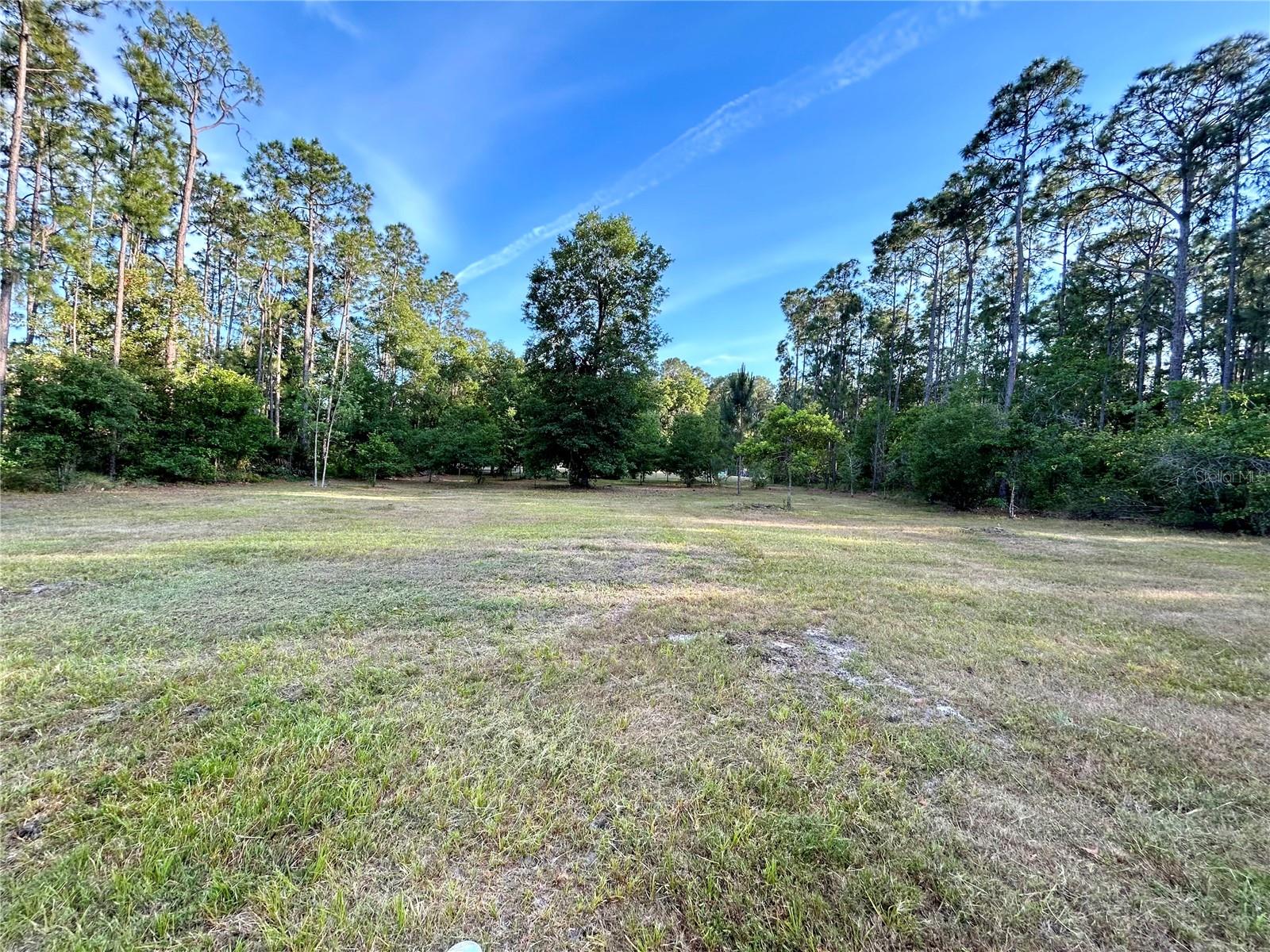 Limpkin Ln Property Photo 3