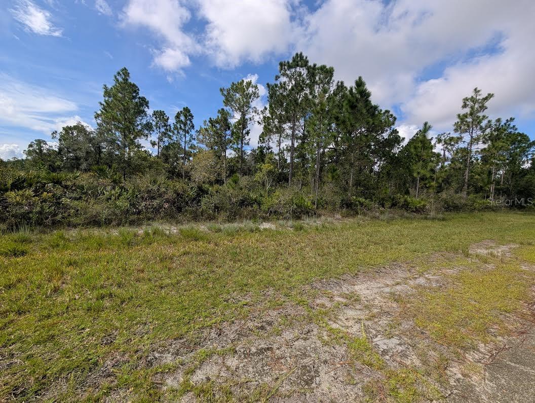 Oleander Dr Property Photo 1