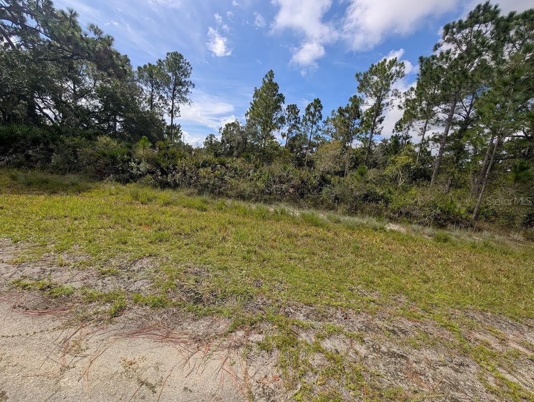 Oleander Dr Property Photo 2