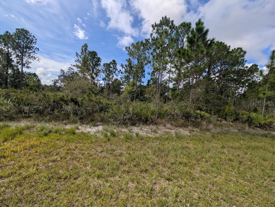 Oleander Dr Property Photo 4