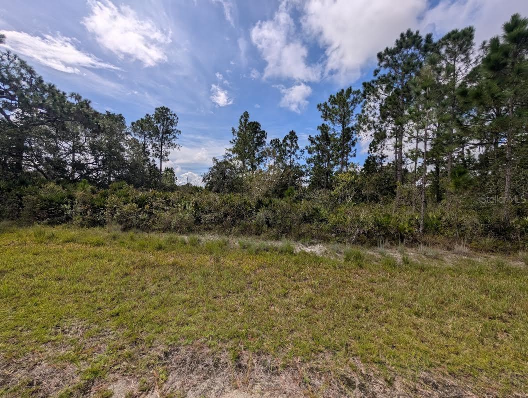 Oleander Dr Property Photo 6
